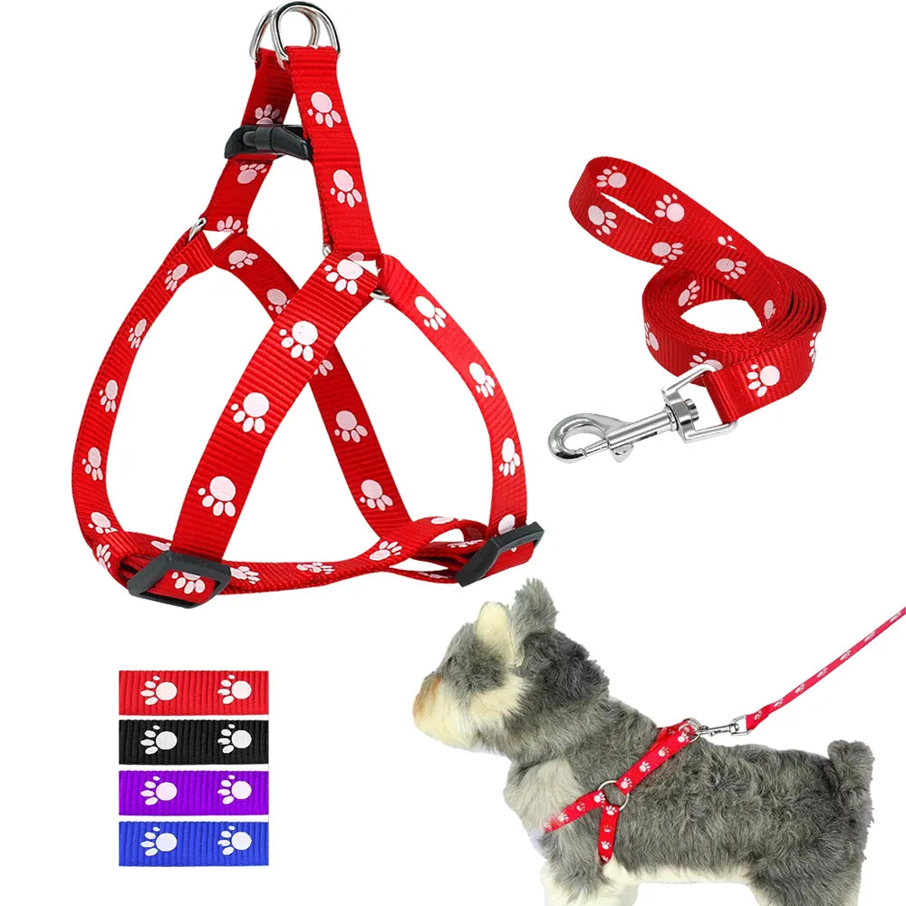 Dog Harness with  cute paw prints for your furry friend