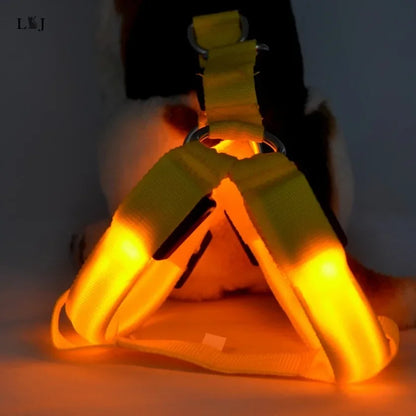 LED Luminous Dog Harness – USB Rechargeable Glowing Night Safety Harness for Medium &amp; Large Dogs