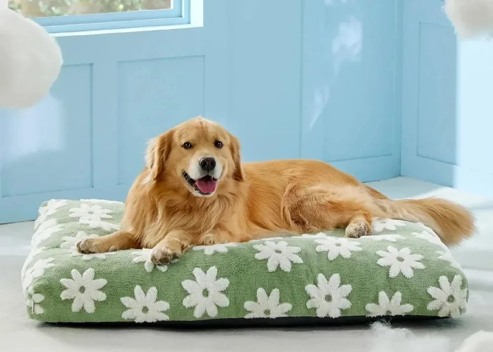 Extra Large Dog Bed | Removable Cover, Cute Modern Fuzzy Plush, Anti-Slip Bottom | Premium Comfort for Pets