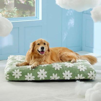 Extra Large Dog Bed | Removable Cover, Cute Modern Fuzzy Plush, Anti-Slip Bottom | Premium Comfort for Pets