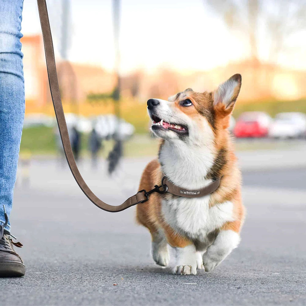 Custom Leather Dog Collar &amp; Leash Set - Personalized Durable Pet Collars for Small, Medium, &amp; Large Dogs