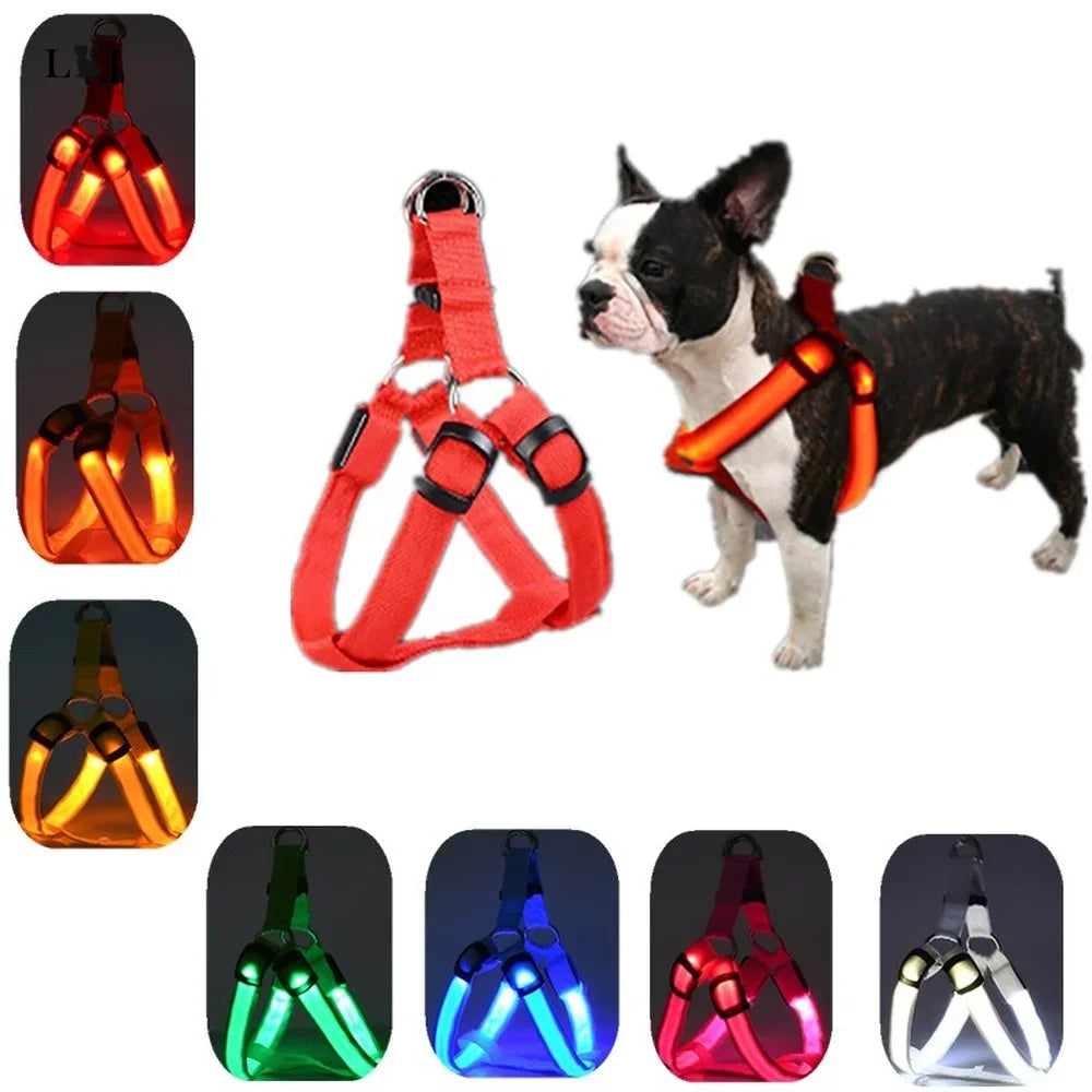 LED Luminous Dog Harness – USB Rechargeable Glowing Night Safety Harness for Medium &amp; Large Dogs