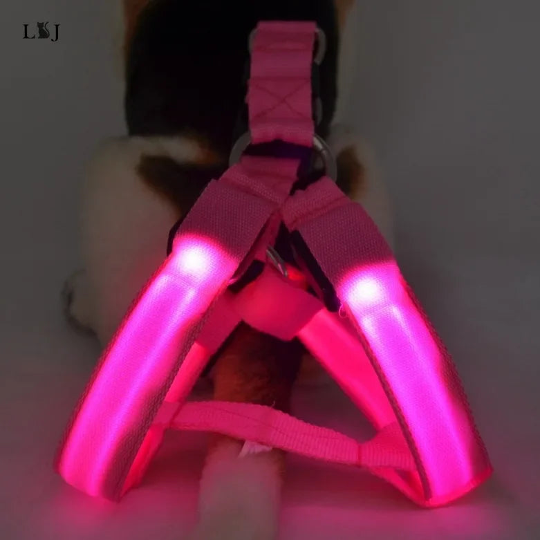 LED Luminous Dog Harness – USB Rechargeable Glowing Night Safety Harness for Medium &amp; Large Dogs