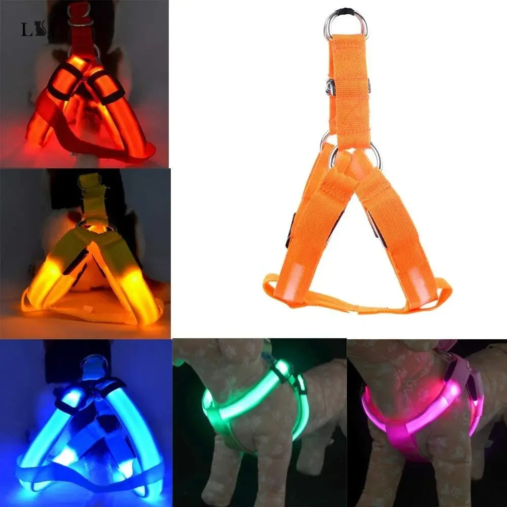 LED Luminous Dog Harness – USB Rechargeable Glowing Night Safety Harness for Medium &amp; Large Dogs