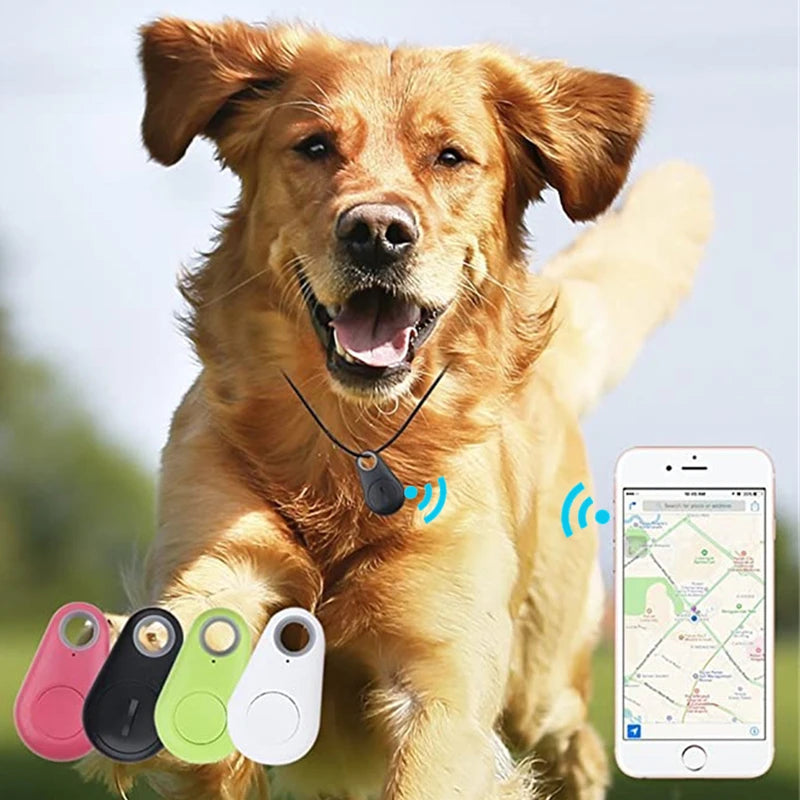 Pet Smart GPS Tracker Tags - Locator for Dogs, Cats, Kids &amp; More | Pet Collar Accessories