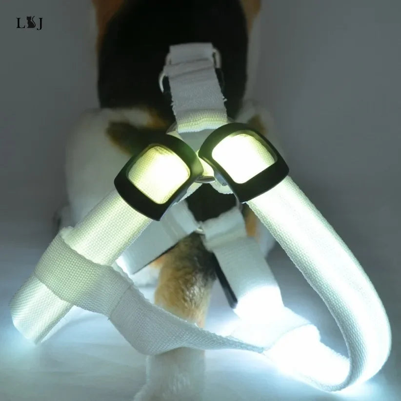 LED Luminous Dog Harness – USB Rechargeable Glowing Night Safety Harness for Medium &amp; Large Dogs