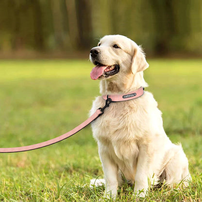 Custom Leather Dog Collar &amp; Leash Set - Personalized Durable Pet Collars for Small, Medium, &amp; Large Dogs