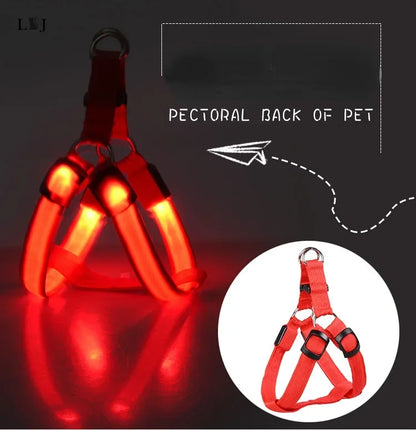 LED Luminous Dog Harness – USB Rechargeable Glowing Night Safety Harness for Medium &amp; Large Dogs