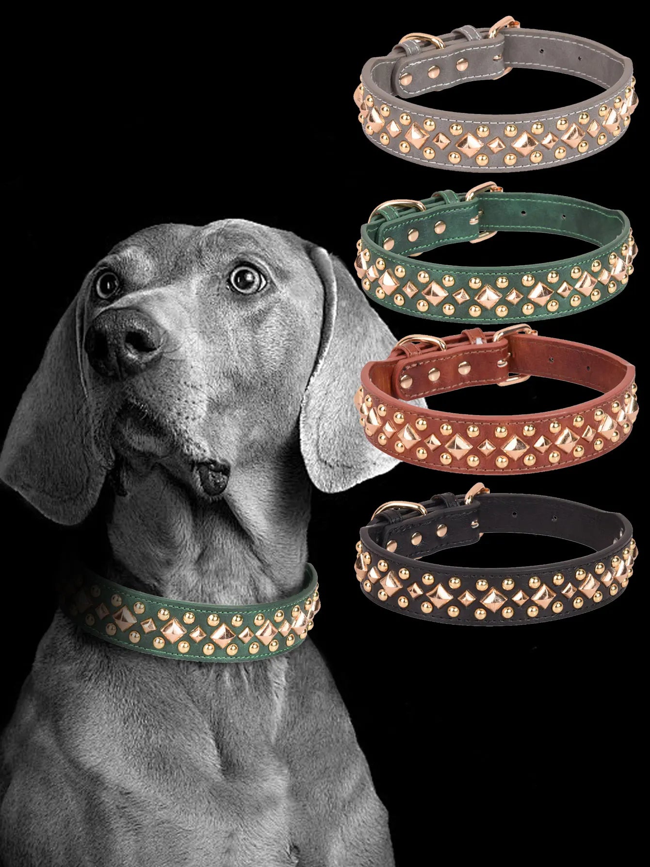 Rivet Leather Dog Collar – Retro Golden Rivet Adjustable Collar for Small, Medium &amp; Large Dogs